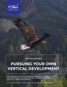 Pursuing Your Own Vertical Development Assessment